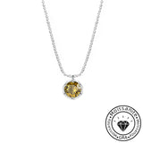 Moissanite 1.0ct Round Cut Sparkling 925 Sterling Silver Necklace