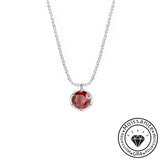 Moissanite 1.0ct Round Cut Sparkling 925 Sterling Silver Necklace